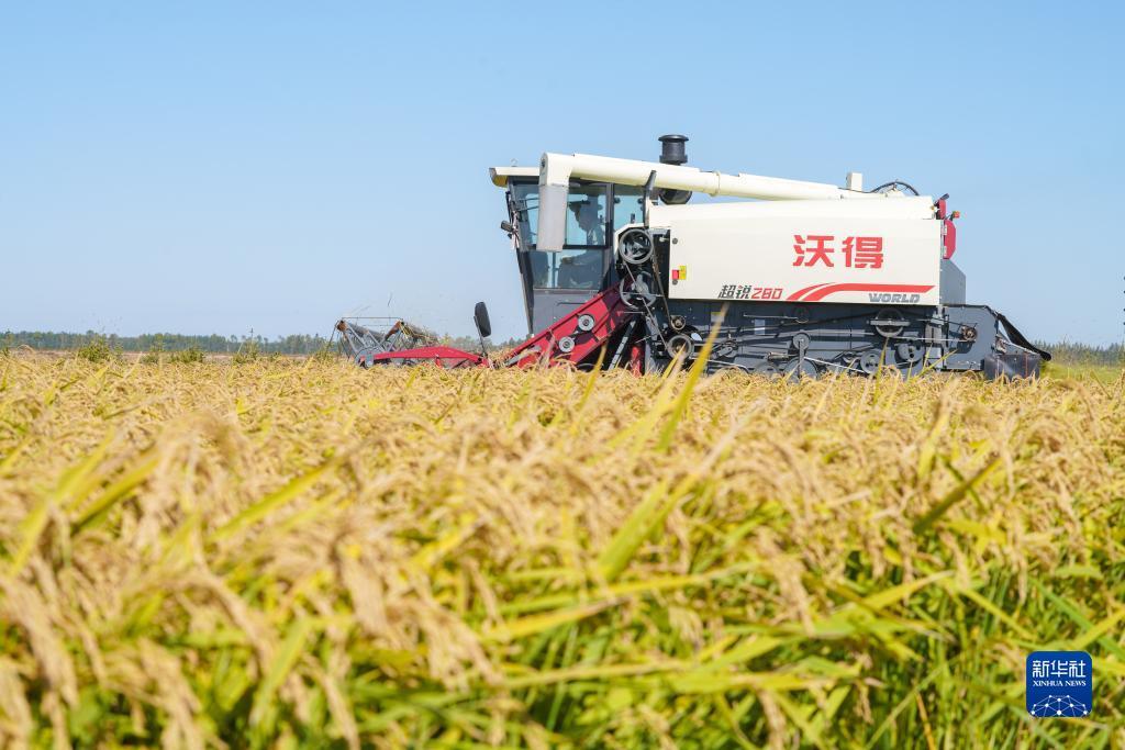 能赚钱的苹果手机游戏